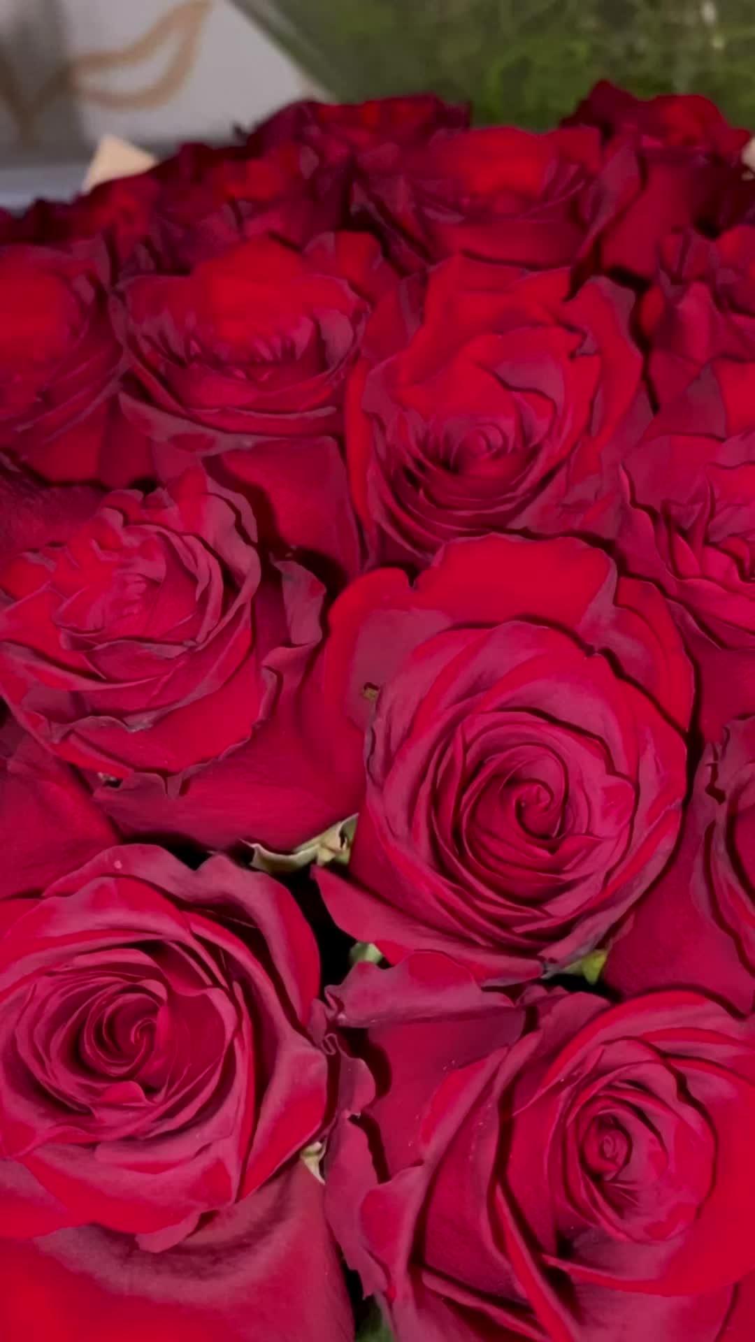 Harmony Whisperer: Floral Notes Medley